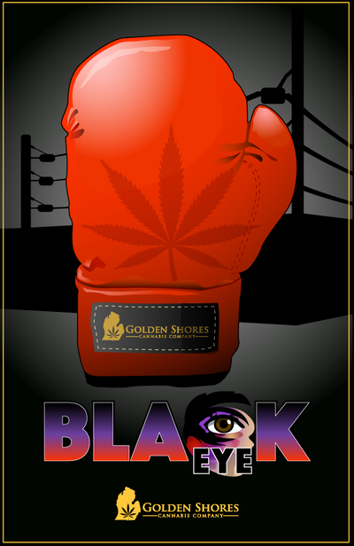 Black Eyed Katy - Golden Shores Cannabis