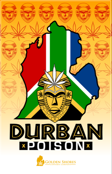 Durban Poison - Golden Shores Cannabis